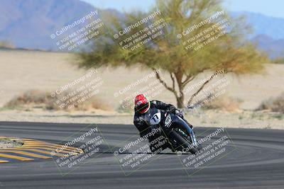 media/Feb-04-2023-SoCal Trackdays (Sat) [[8a776bf2c3]]/Turn 4 (Tree of Life 2pm)/